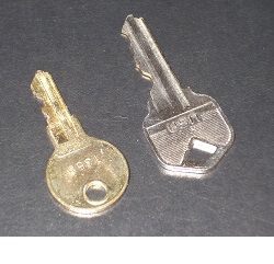 Touche du panneau d'alarme (à gauche) à côté de la clé de la maison Touche du panneau d'alarme (à gauche) à côté de la clé de la maison