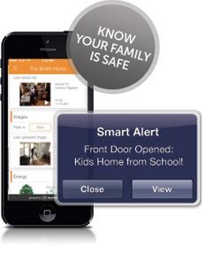 Protection 1 Security - Mobile alerts