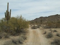 4-wheeling trail in the Arizona desert