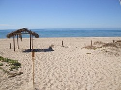 Morning on the beach