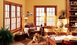 Double hung windows by Anderson