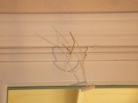 Magnetic door switch wires twisted