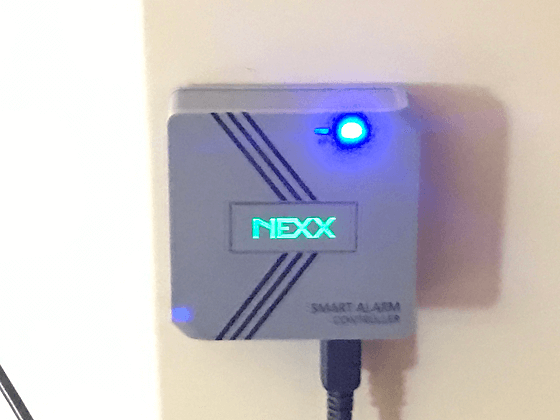Green NEXX Logo Blinking